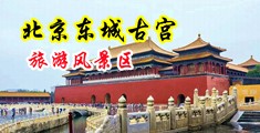 自慰扣逼诱惑中国北京-东城古宫旅游风景区